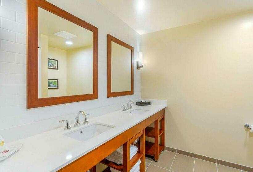 스위트, Comfort Suites Burlington Near I 5