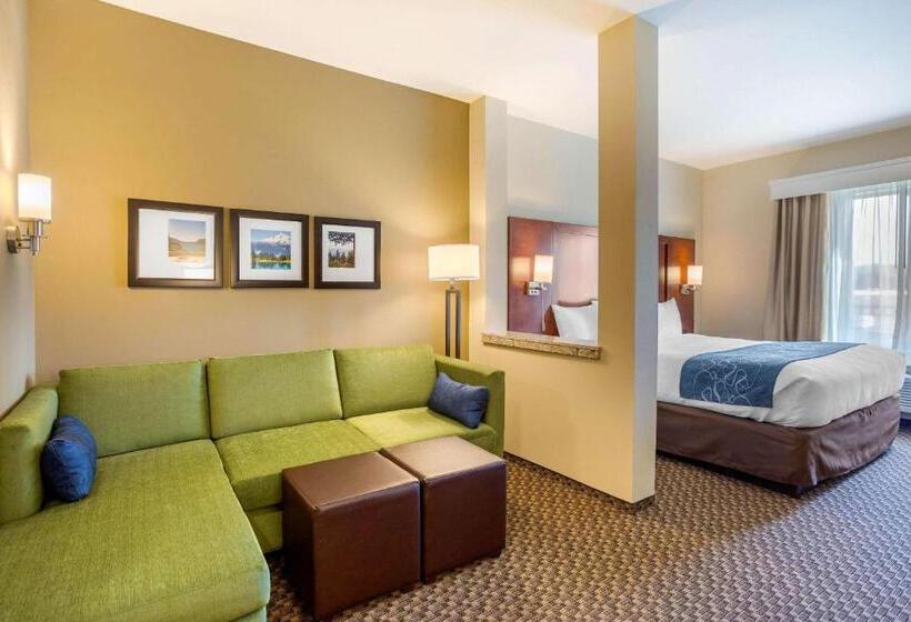 스위트 킹사이즈 침대, Comfort Suites Burlington Near I 5