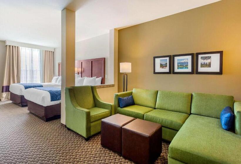 스위트, Comfort Suites Burlington Near I 5