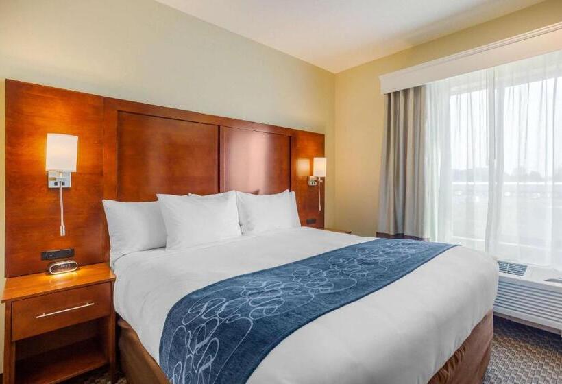 장애인을 위한 스위트, Comfort Suites Burlington Near I 5