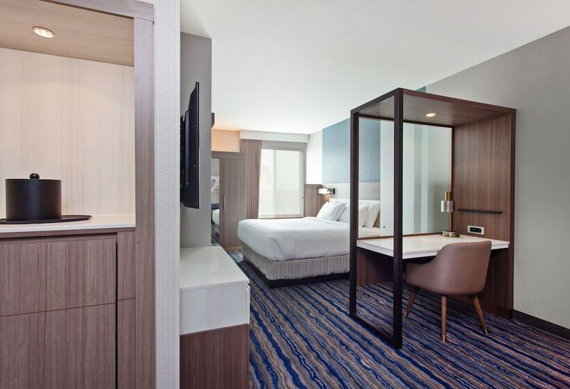 Люкс Адаптированный для Инвалидов, Springhill Suites By Marriott Escondido Downtown