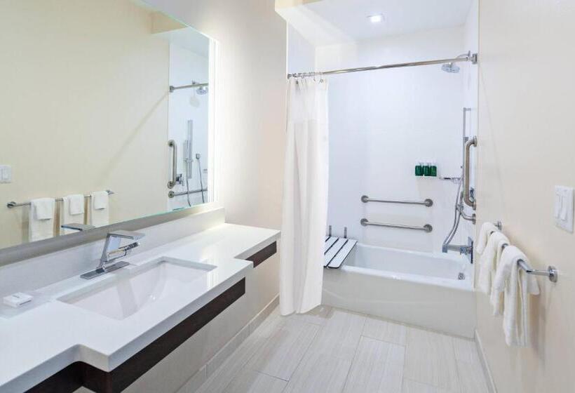 Люкс Адаптированный для Инвалидов, Springhill Suites By Marriott Escondido Downtown