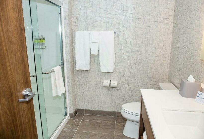 جناح سرير كينج, Holiday Inn Express & Suites   Halifax – Dartmouth