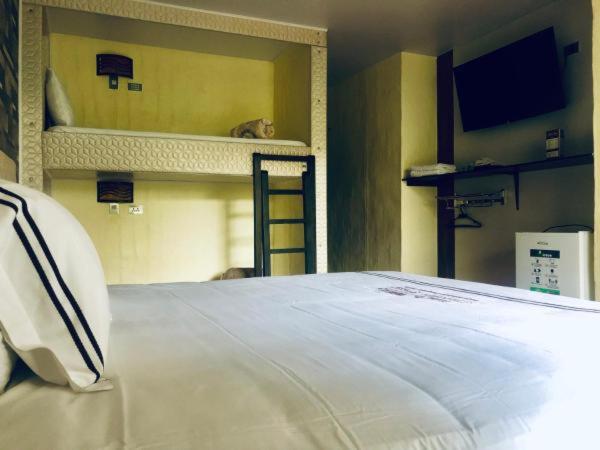 Четырехместный Номер Стандарт, Castillo Resort
