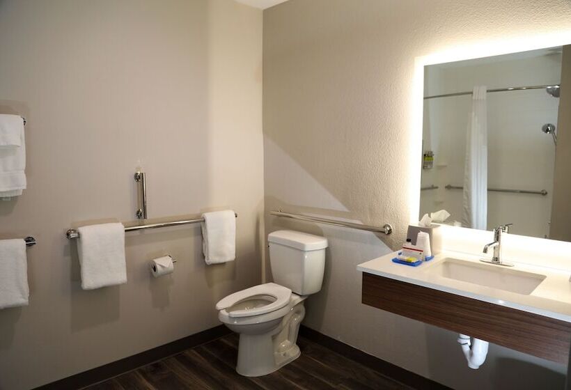 Люкс Адаптированный для Инвалидов, Holiday Inn Express & Suites   Wylie West, An Ihg