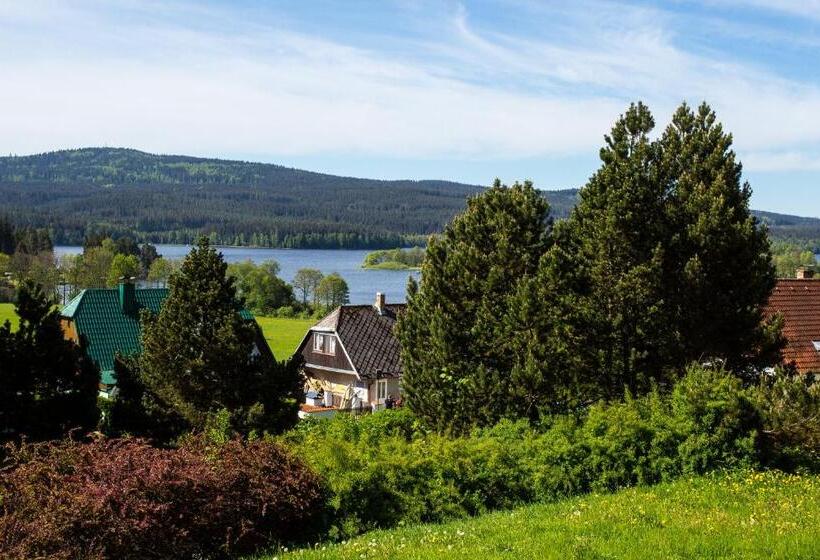 Номер Стандарт, Fontána Lipno