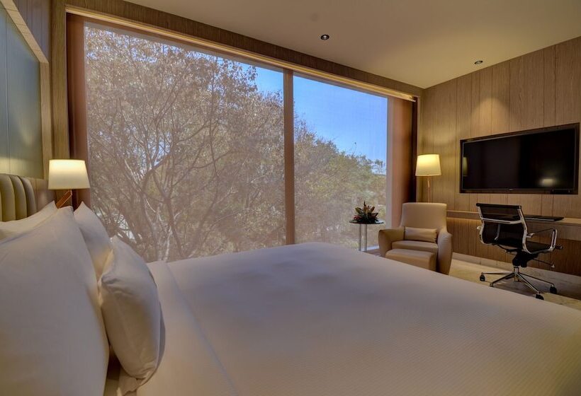 Deluxe Room, Vividus