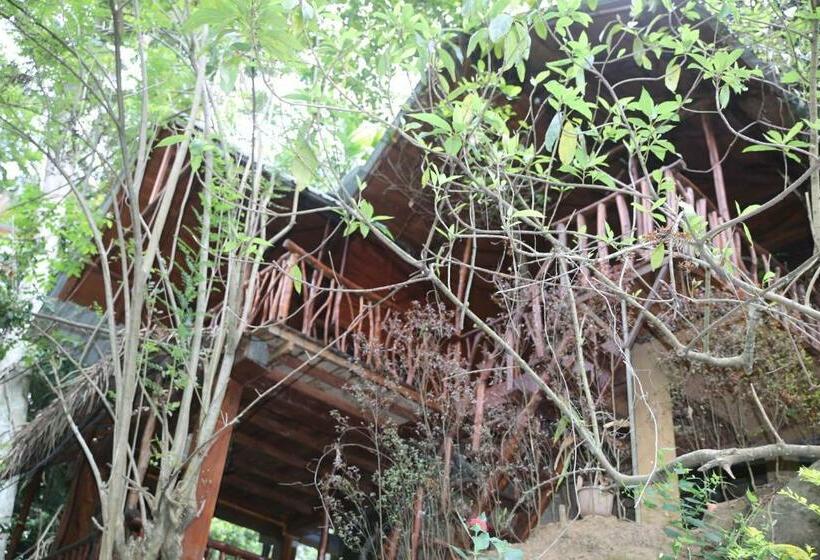 Номер Стандарт Вид на Горы, Jungle Face Inn