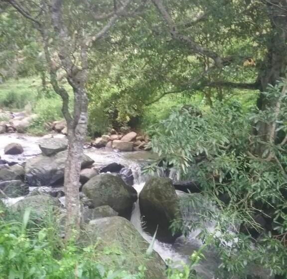 Номер Стандарт Вид на Горы, Jungle Face Inn