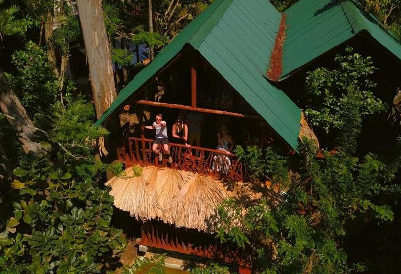マウンテンビューファミリールーム, Jungle Face Inn