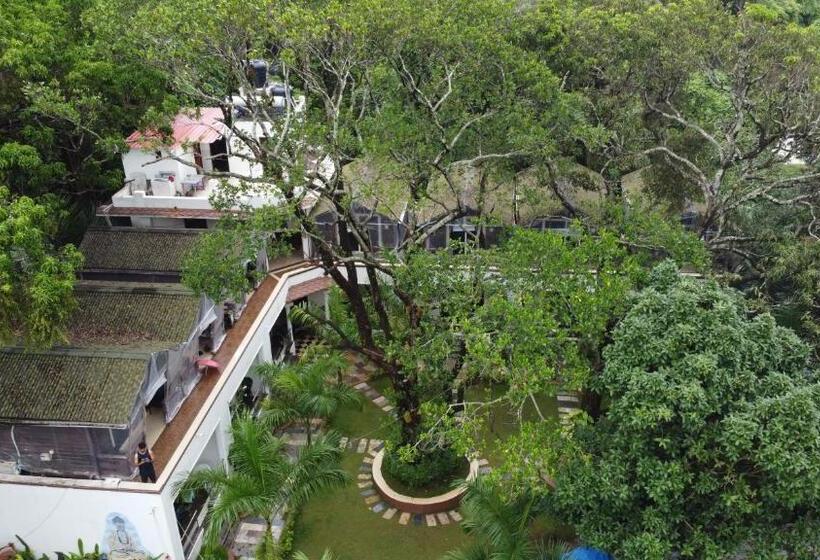 Номер Премиум, Jp Resort