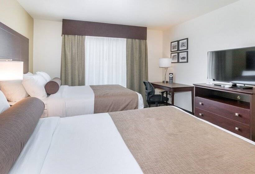 Студия Стандарт, Cobblestone Hotel & Suites   Janesville