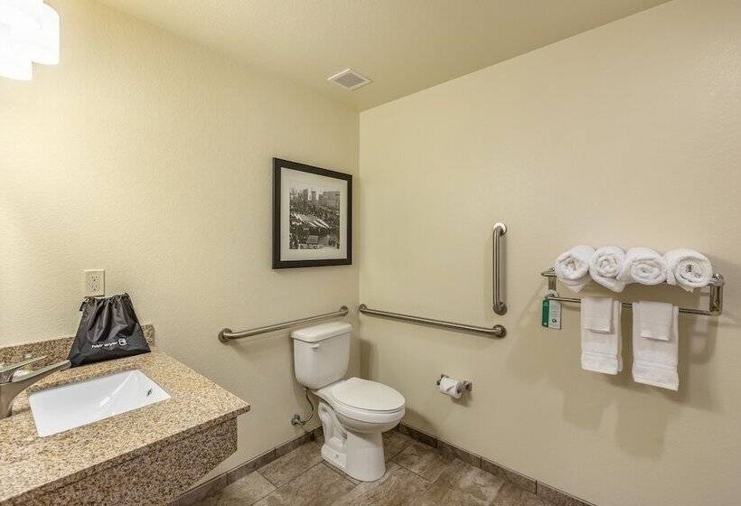 Студия Стандарт, Cobblestone Hotel & Suites   Janesville