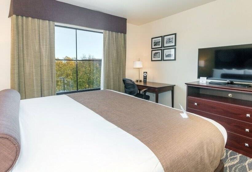 Студия Стандарт, Cobblestone Hotel & Suites   Janesville