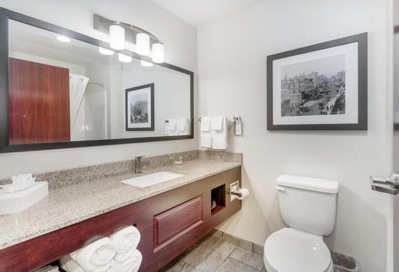 Студия Стандарт, Cobblestone Hotel & Suites   Janesville