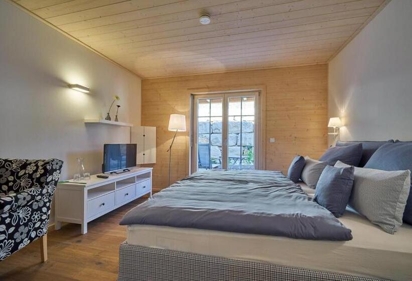 Полулюкс Одноместный с Террасой, Alb Appartements