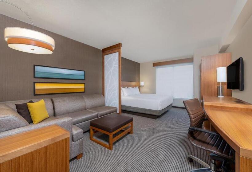 身障者適用キングサイズベッドルーム, Hyatt Place San Jose Airport