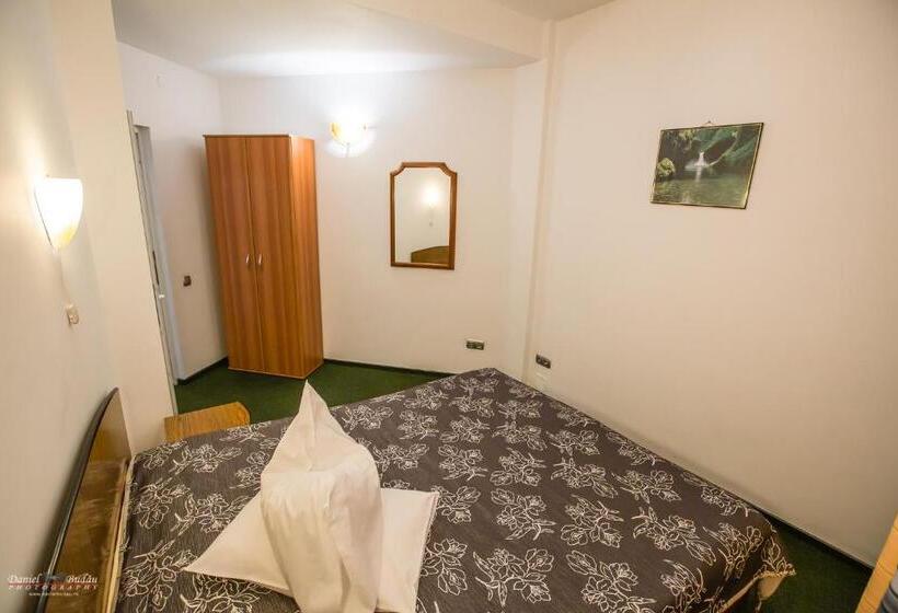 Апартаменты 2 Спальни, Pensiunea Vila Europa