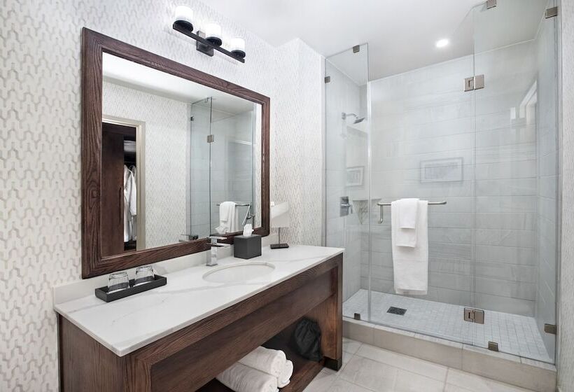 Quarto Executivo Cama King, Texas A&m Hotel And Conference Center