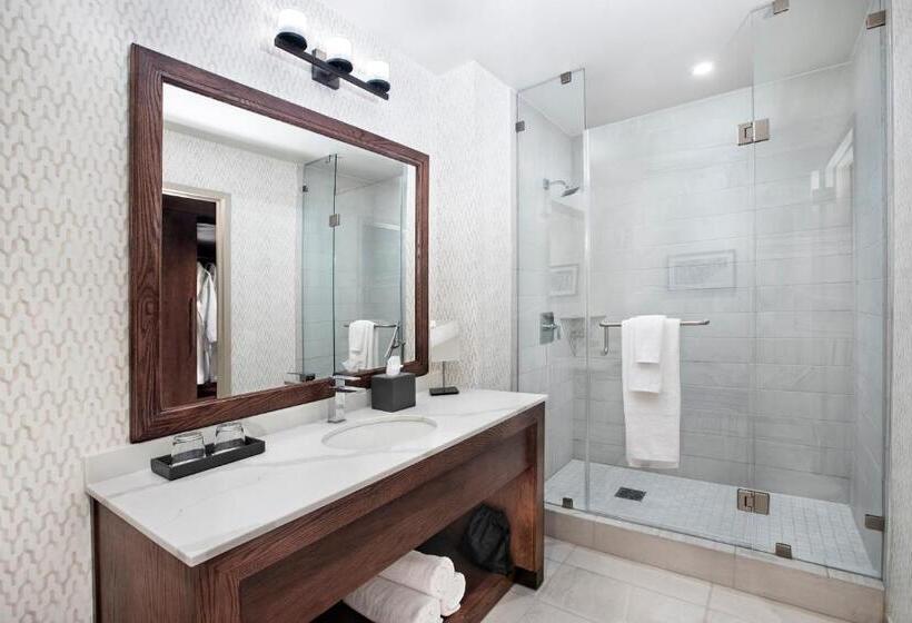 Quarto Deluxe, Texas A&m Hotel And Conference Center