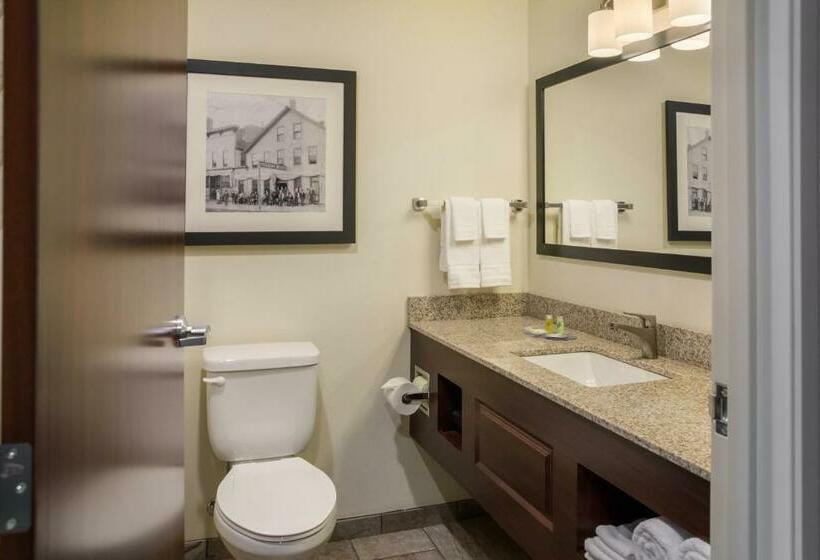 Стандартный Номер Кровать Кинг, Cobblestone Inn And Suites Ashland