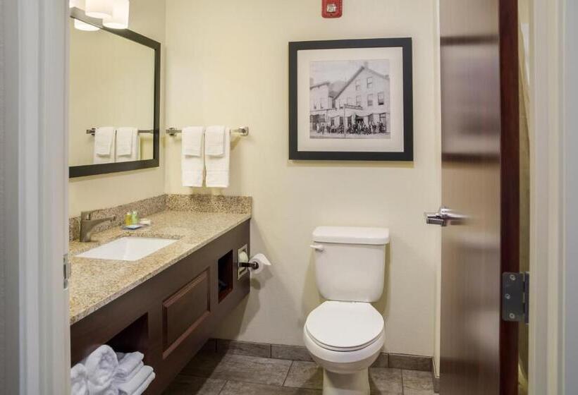 Номер Стандарт Кровать Кинг Адаптированный для Инвалидов, Cobblestone Inn And Suites Ashland