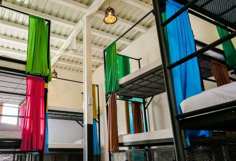 共用房间的床, Casa Oro Eco Hostel