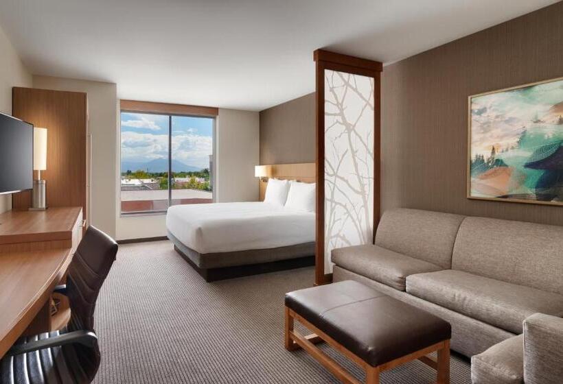 Стандартный Номер Кровать Кинг, Hyatt Place Provo