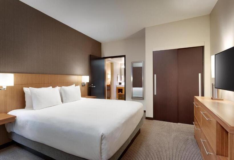 Люкс Кровать Кинг, Hyatt Place Provo