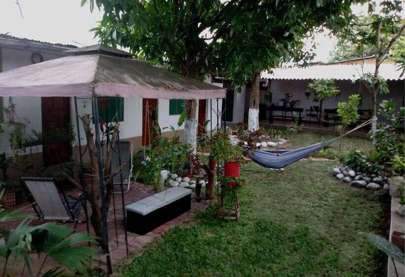 Номер Economy, Kitara House Backpackers Hostel
