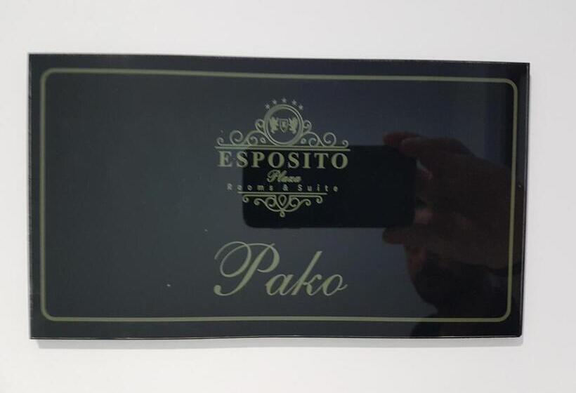 اتاق استاندارد یک نفره, Esposito Plaza S & Suite
