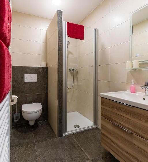 Номер Стандарт, Pension Berglehner