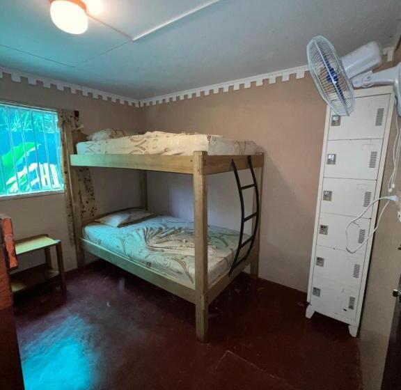 공동 객실, Pura Vida Hostel