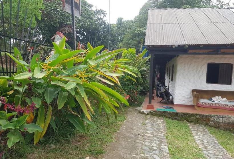 اتاق استاندارد, Casa Annunakis