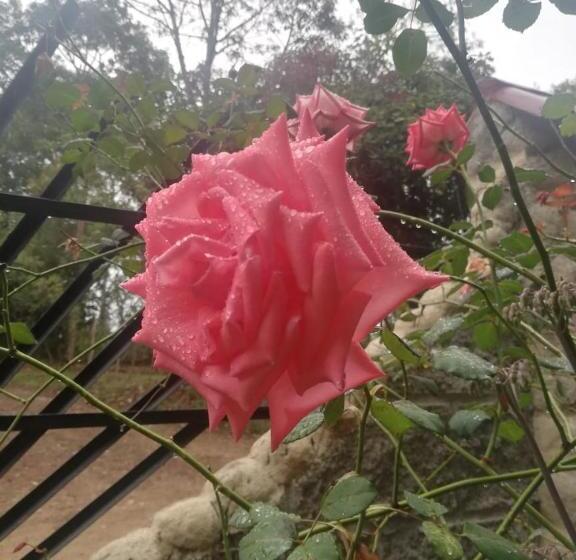 اتاق استاندارد, Casa Annunakis