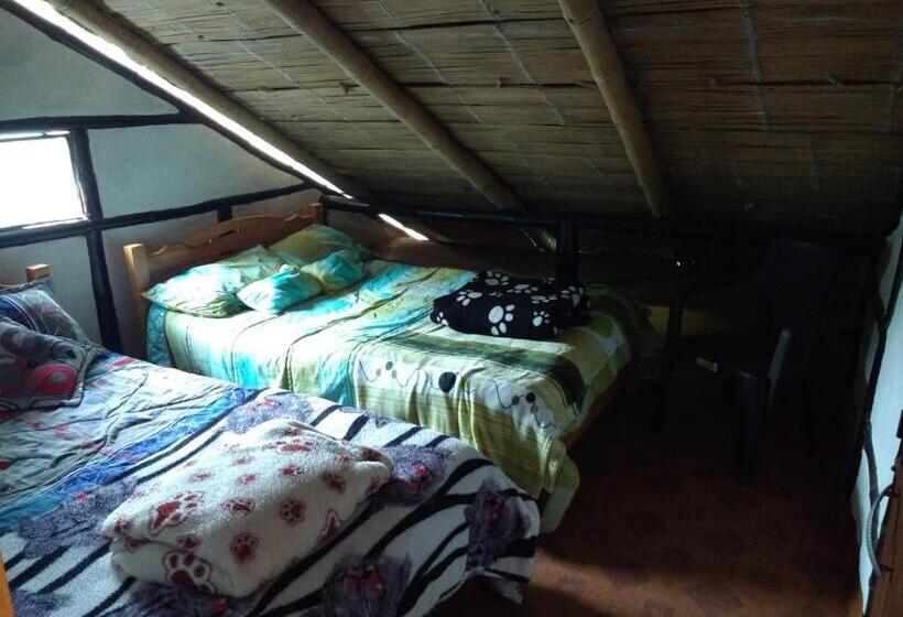 اتاق استاندارد با 2 تخت دوبل, Casa Annunakis