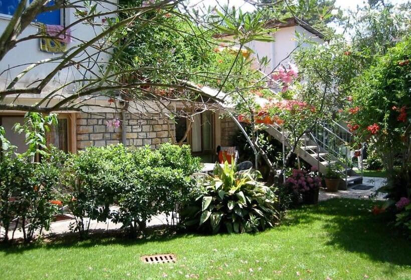 استودیوی استاندارد, Casa Furrer
