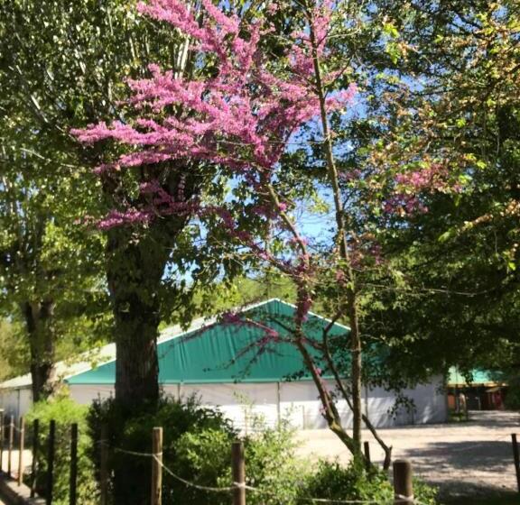 豪华房间, Relais Cà Del Rio