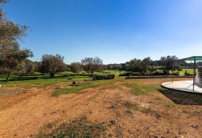 استودیوی استاندارد, Agriturismo Masseria Carrone