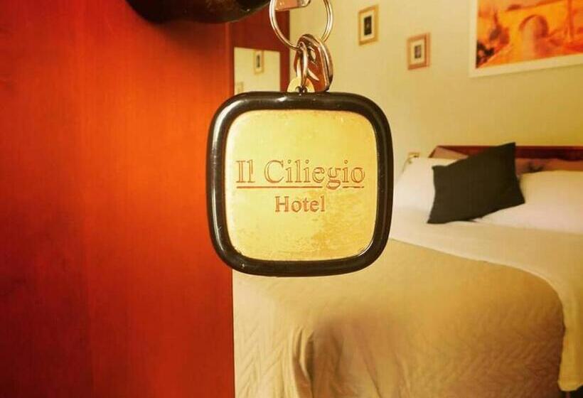 Номер Deluxe, Guesthouse Il Ciliegio