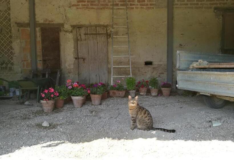 Номер Стандарт, Agriturismo Pian Del Tevere