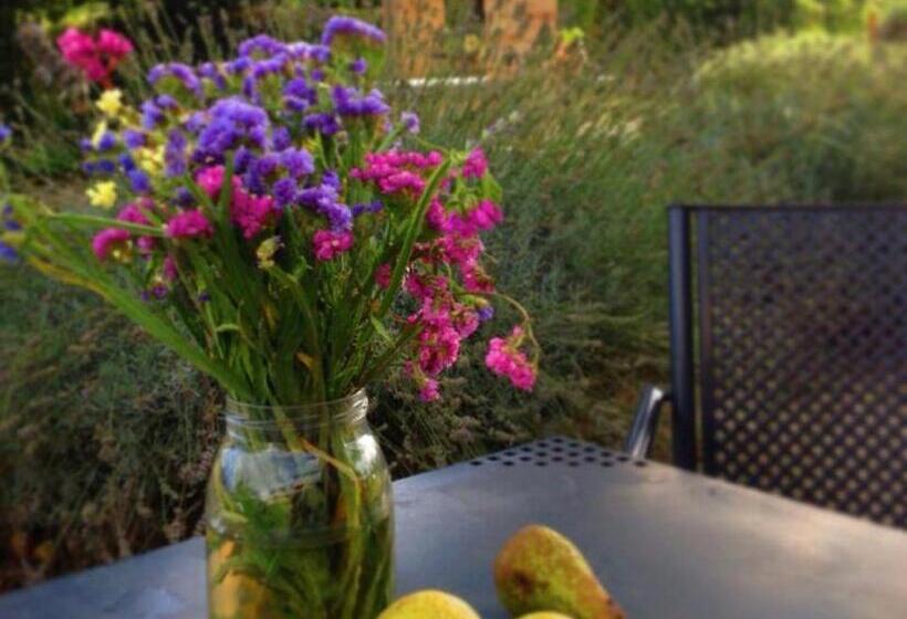 Апартаменты 1 Спальня, Agriturismo Pian Del Tevere