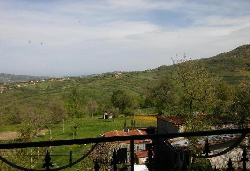 Студия Стандарт, Parco Sogni D'oro