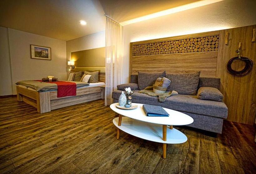 Номер Стандарт, Pension Carlbauer
