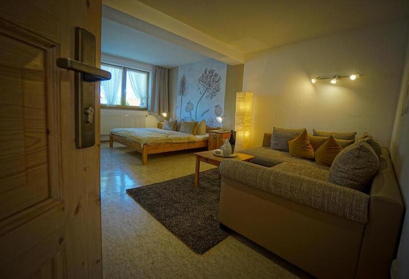 Номер Стандарт, Pension Carlbauer