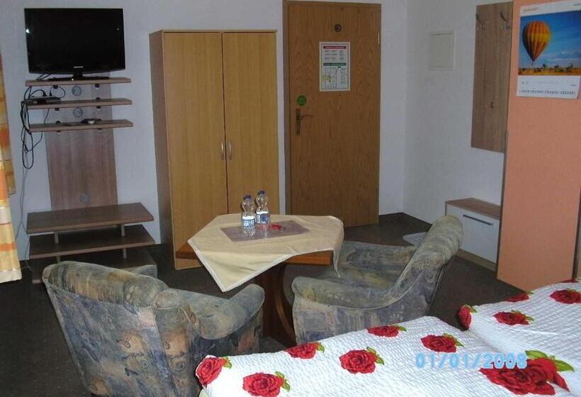 Номер Стандарт, Pension Schwalbe