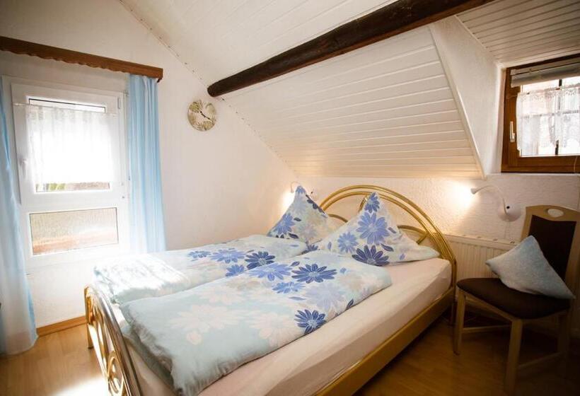 Номер Basic, Pension Haus Andreas