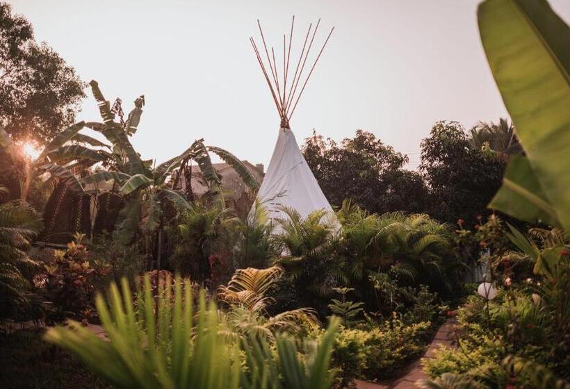 Standard Tent, Wigwam