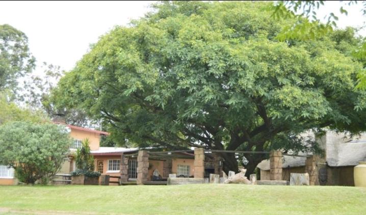اتاق استاندارد, Anna Boeremeisie Guesthouse