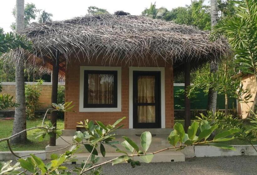 اتاق لوکس, Airport Eco Cottage